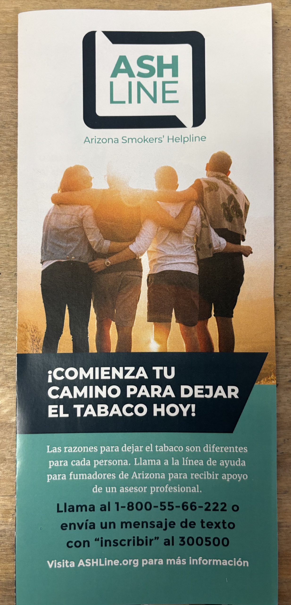 Tobacco Ash-Line Brochure (Spanish)